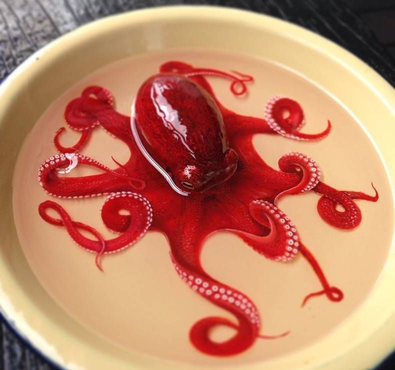 Gewoon een verzameling hilarische foto's #728