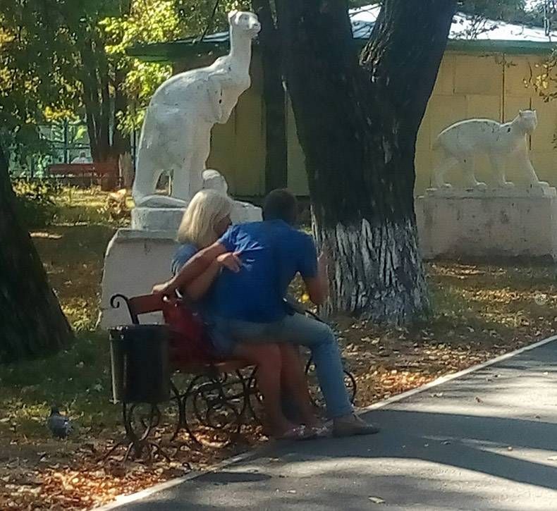 Gewoon een verzameling hilarische foto's #1212
