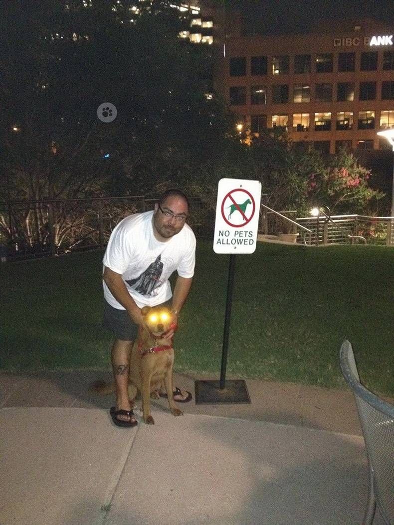 Gewoon een verzameling hilarische foto's #1094