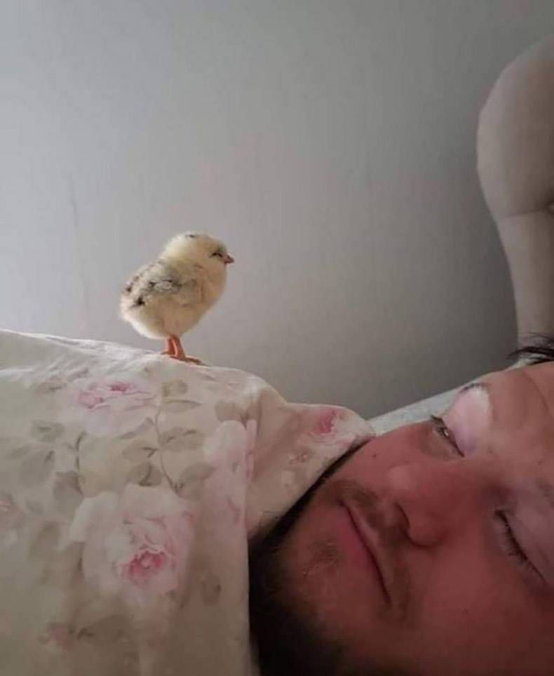 Gewoon een verzameling hilarische foto's #1287