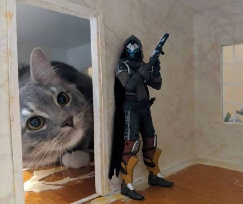 Gewoon een verzameling hilarische foto's #1229
