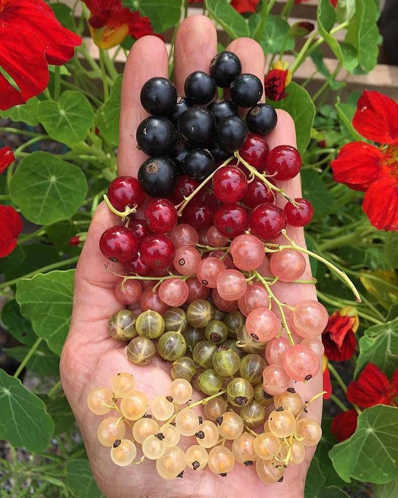 Gewoon een verzameling hilarische foto's #1173