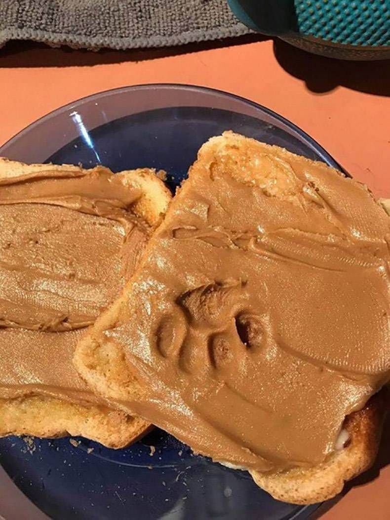 Gewoon een verzameling hilarische foto's #1123