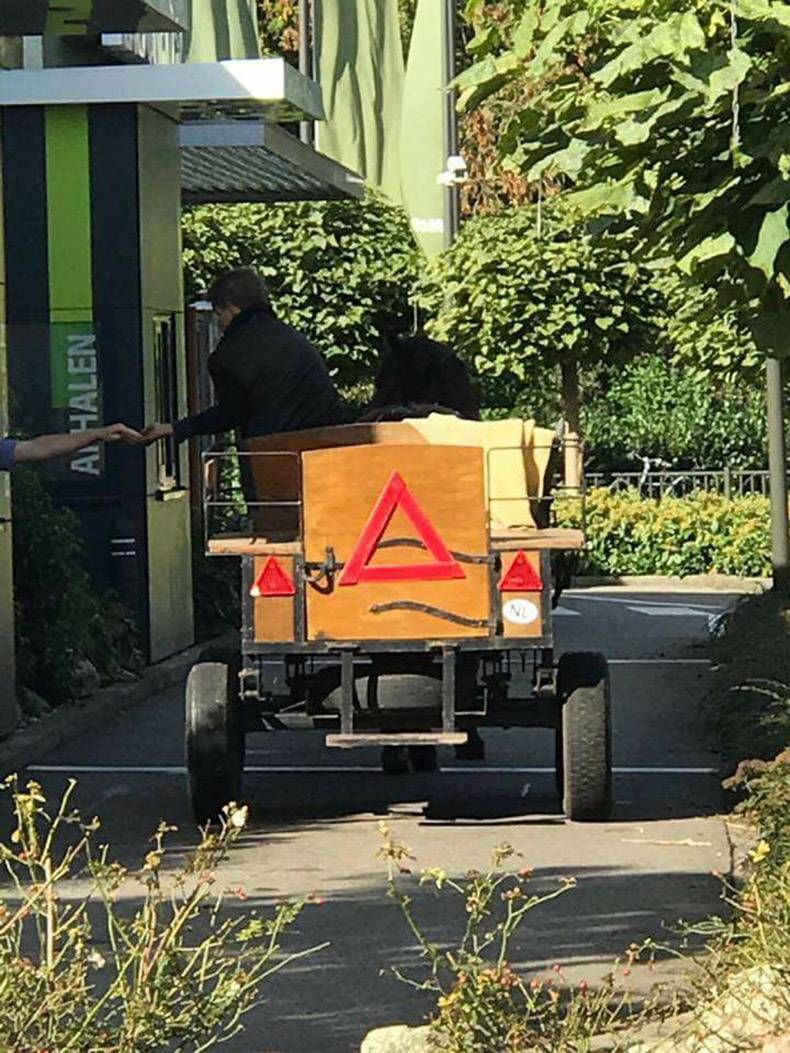 Gewoon een verzameling hilarische foto's #874