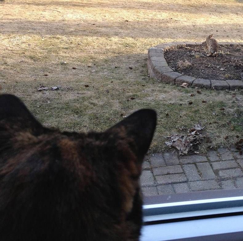 Gewoon een verzameling hilarische foto's #1252