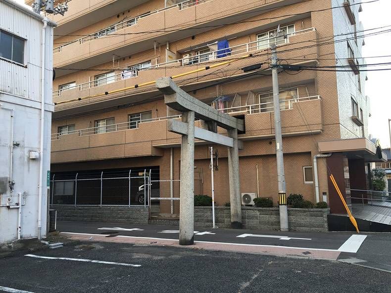 Gewoon een verzameling hilarische foto's #1240