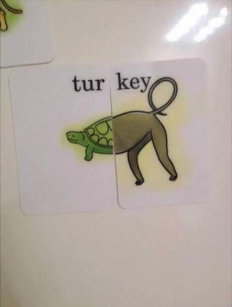 Gewoon een verzameling hilarische foto's #1205