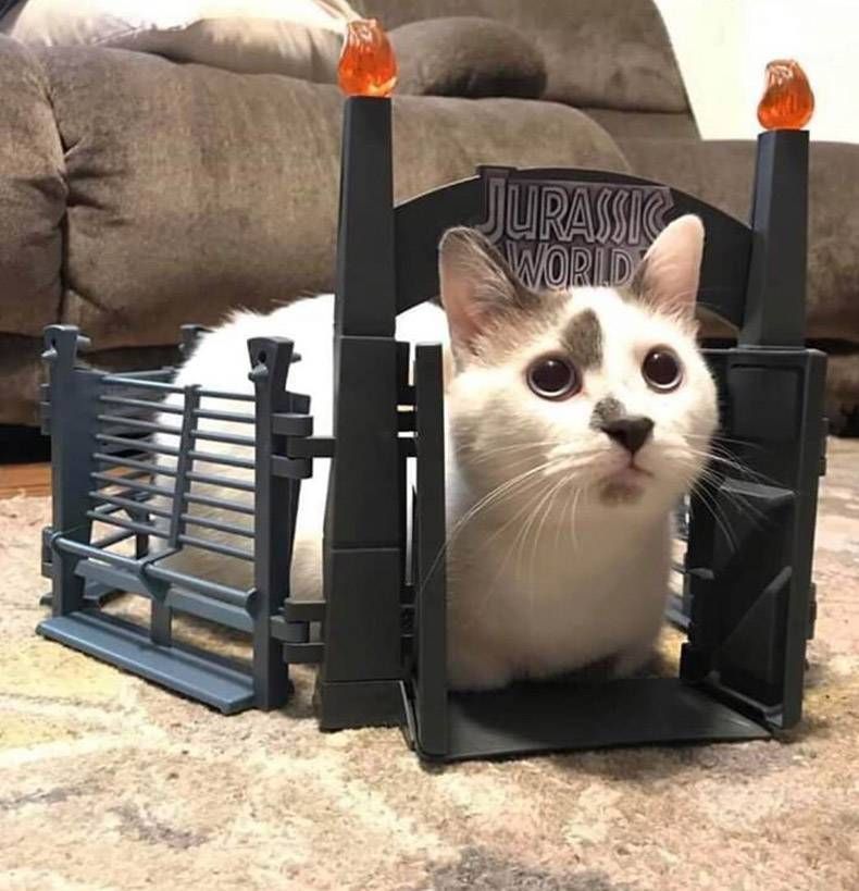 Gewoon een verzameling hilarische foto's #1152