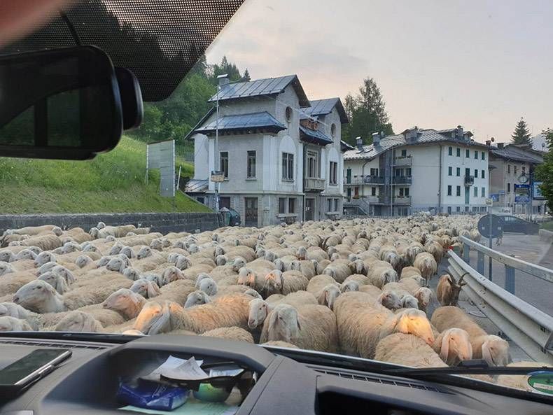 Gewoon een verzameling hilarische foto's #1139