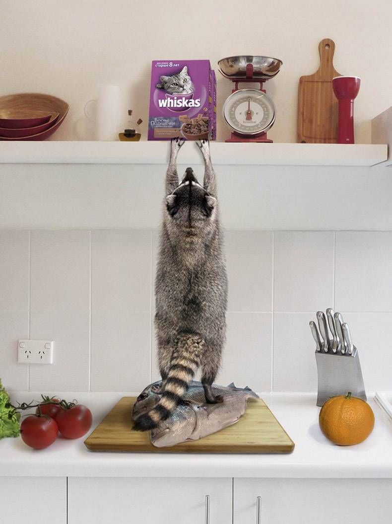 Gewoon een verzameling hilarische foto's #1094