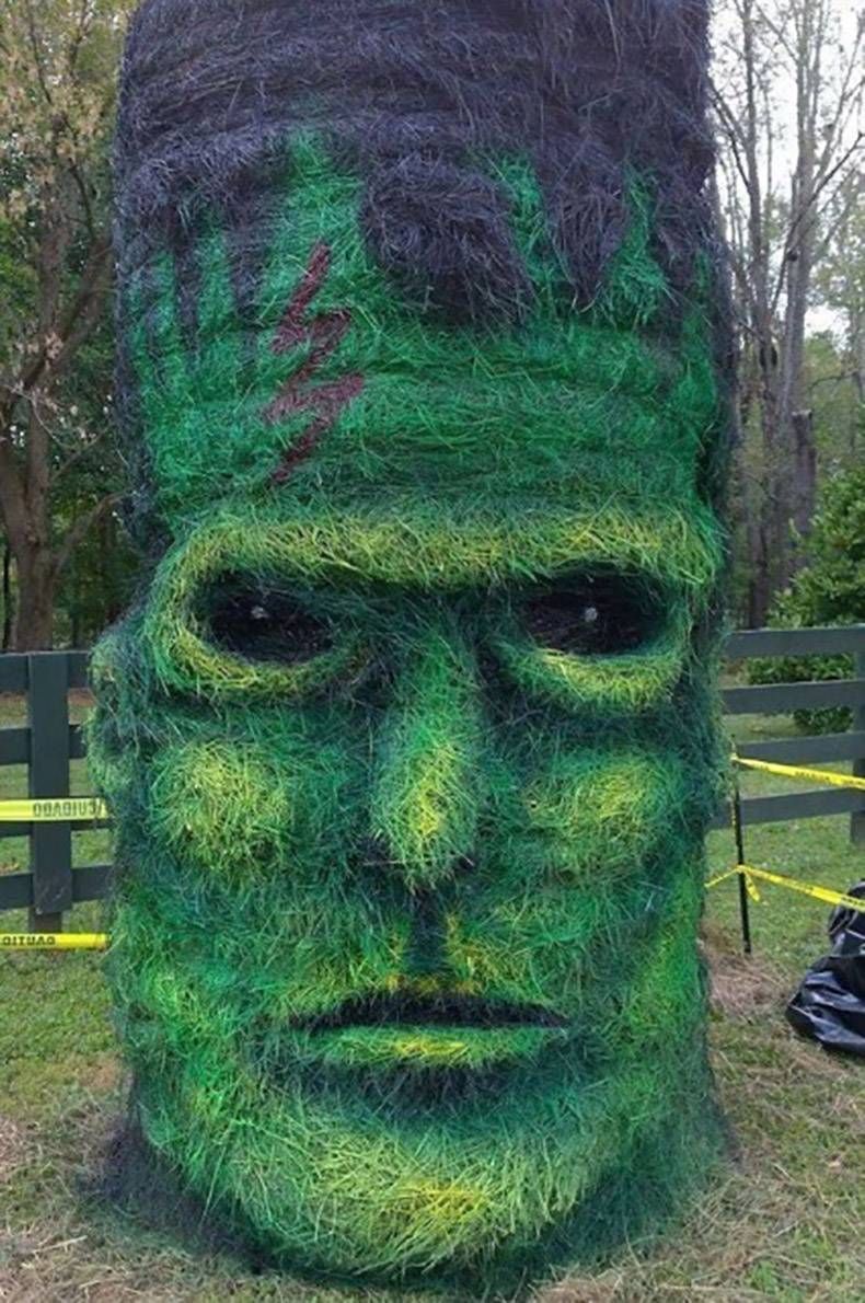 Gewoon een verzameling hilarische foto's #1037