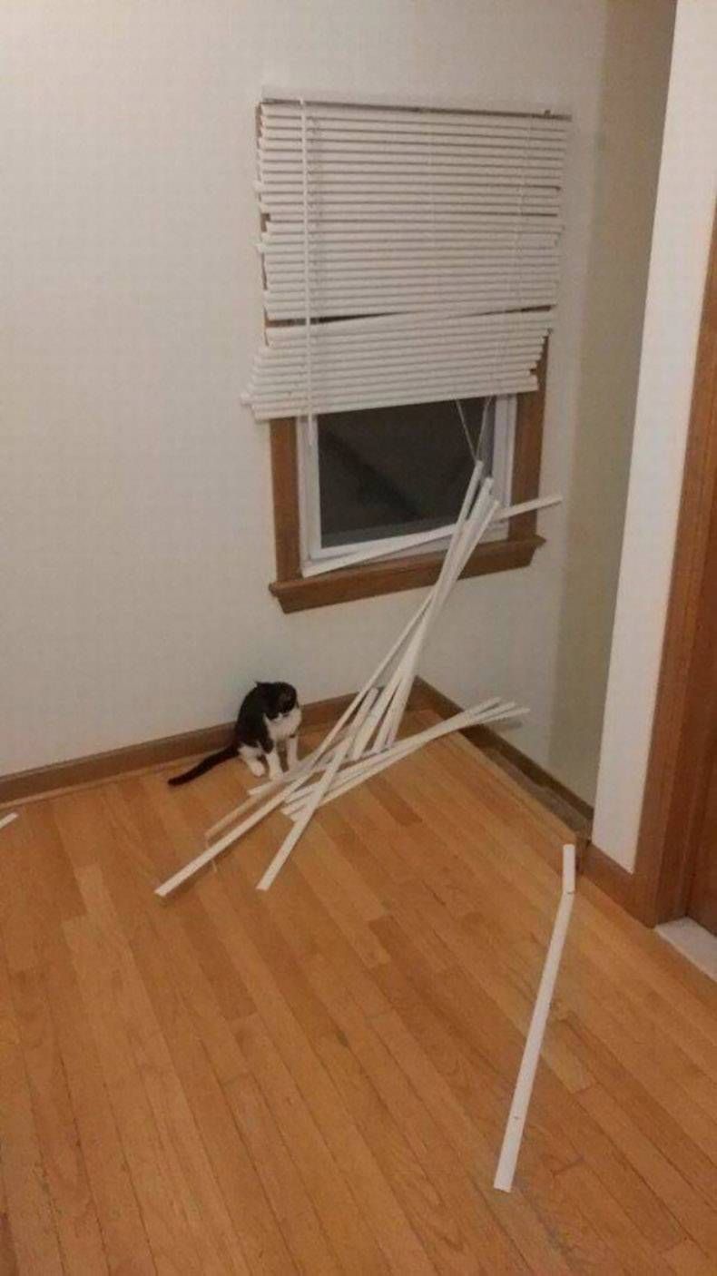 Gewoon een verzameling hilarische foto's #955