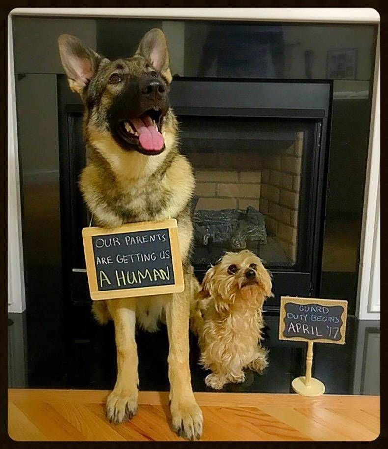 Gewoon een verzameling hilarische foto's #759