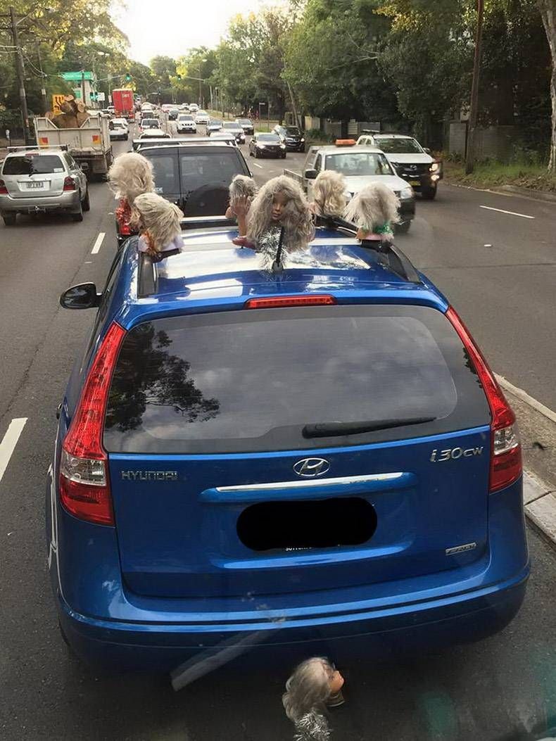 Gewoon een verzameling hilarische foto's #1291