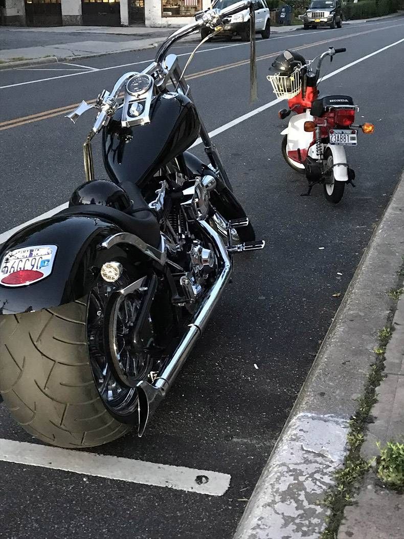 Gewoon een verzameling hilarische foto's #1179