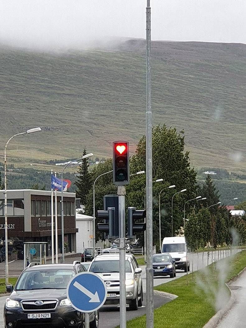 Gewoon een verzameling hilarische foto's #1173