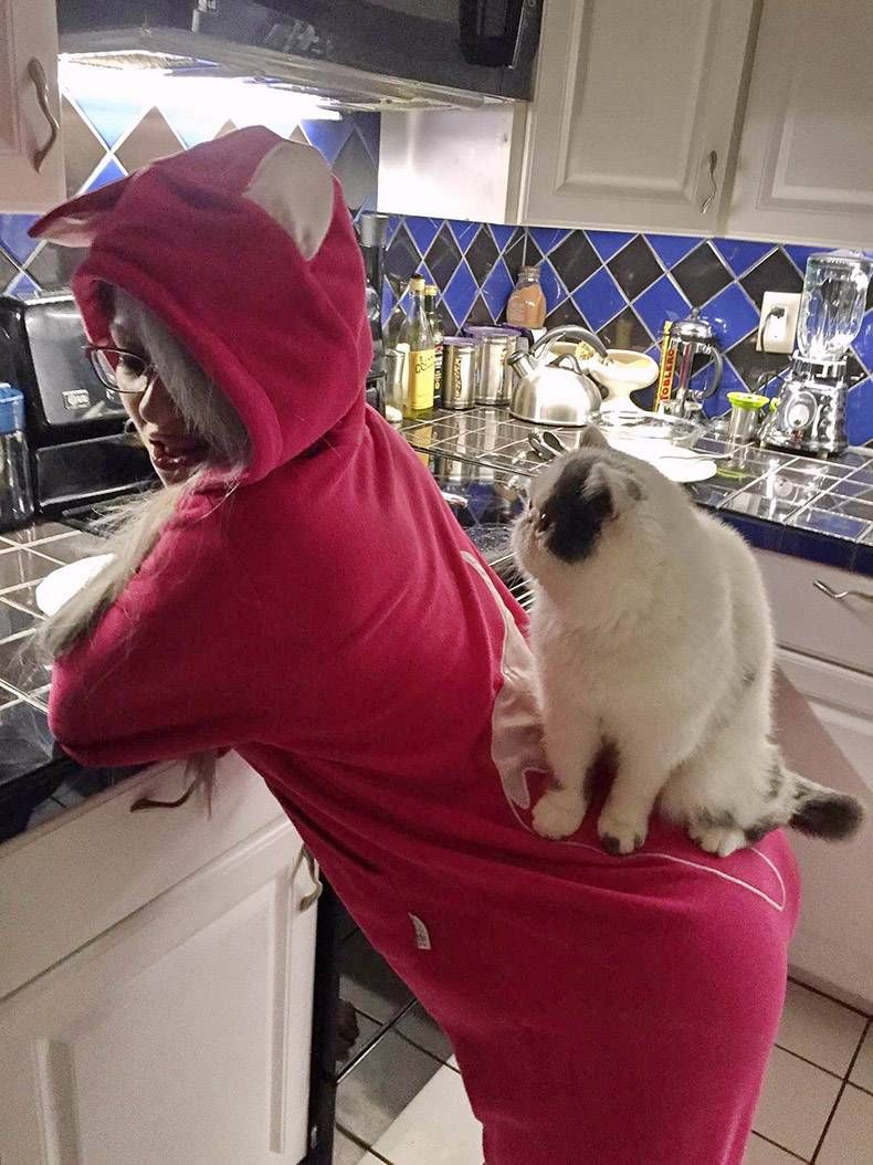 Gewoon een verzameling hilarische foto's #1128