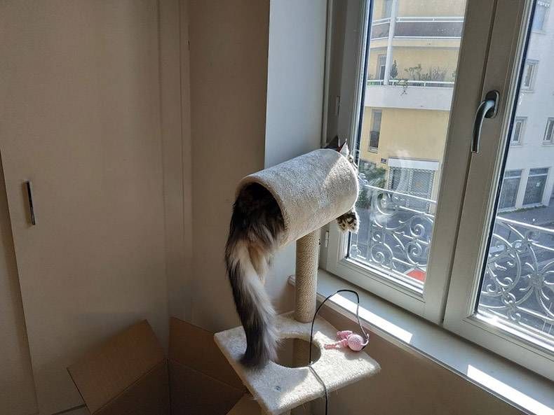 Gewoon een verzameling hilarische foto's #1123
