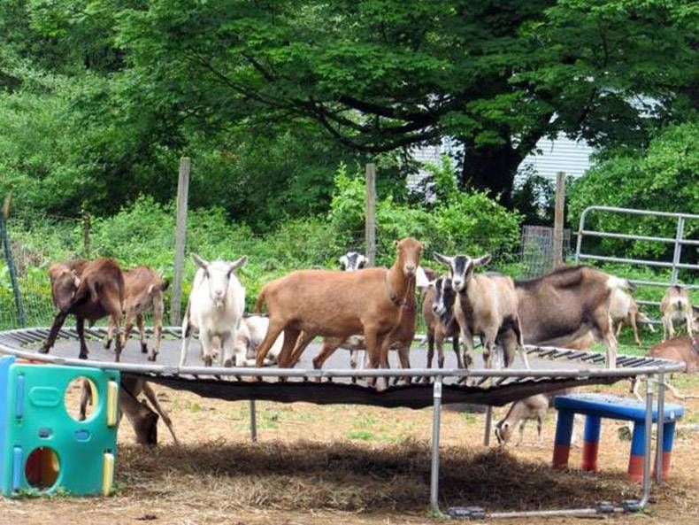 Gewoon een verzameling hilarische foto’s #978