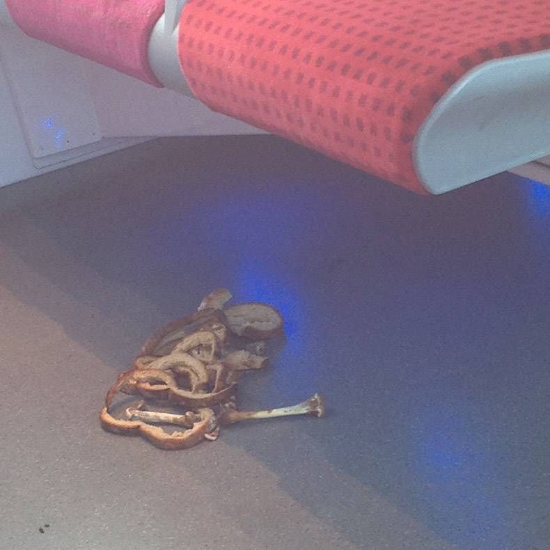 Gewoon een verzameling hilarische foto's #895