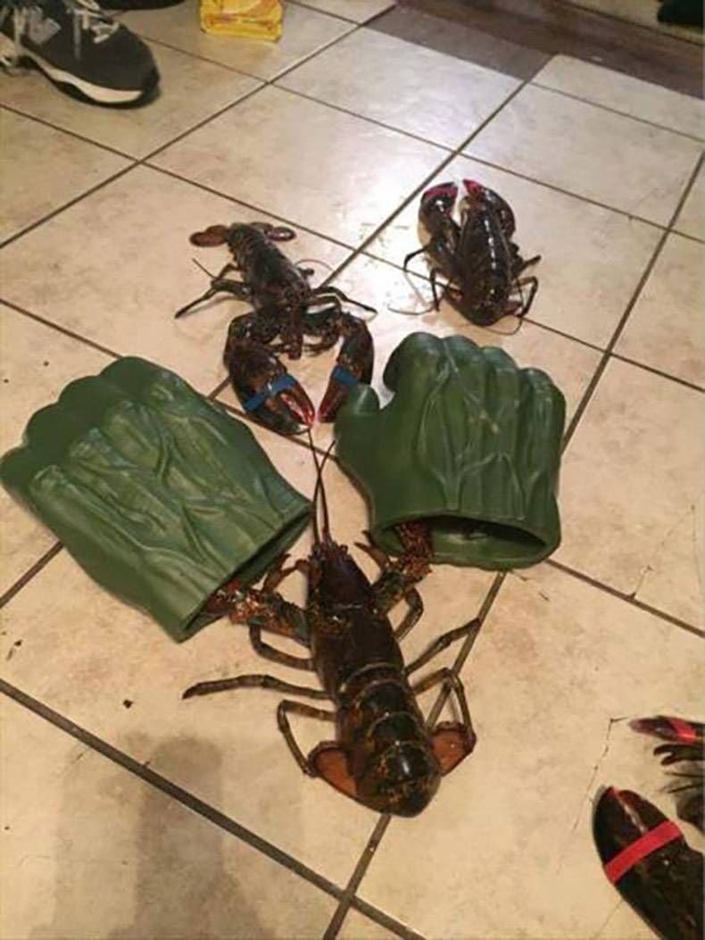 Gewoon een verzameling hilarische foto's #806