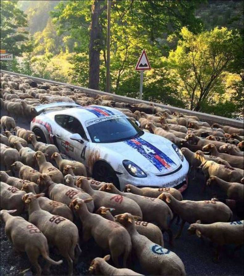 Gewoon een verzameling hilarische foto's #721