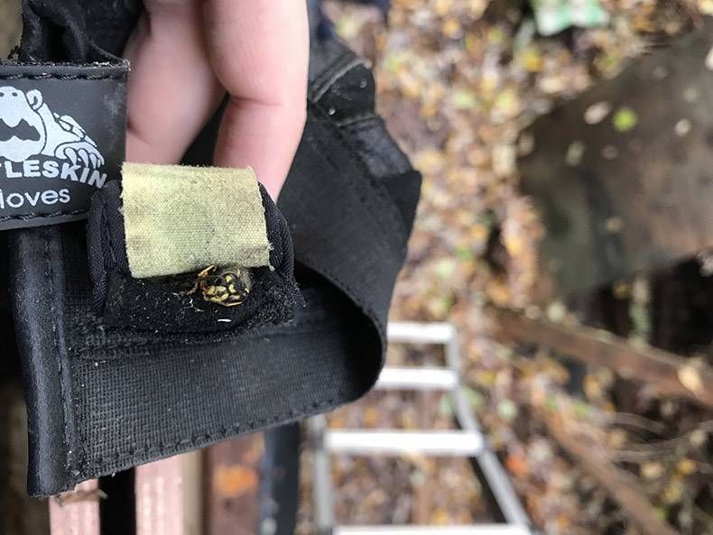 Gewoon een verzameling hilarische foto’s #1364