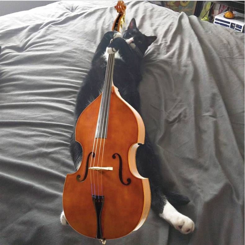 Gewoon een verzameling hilarische foto's #1179