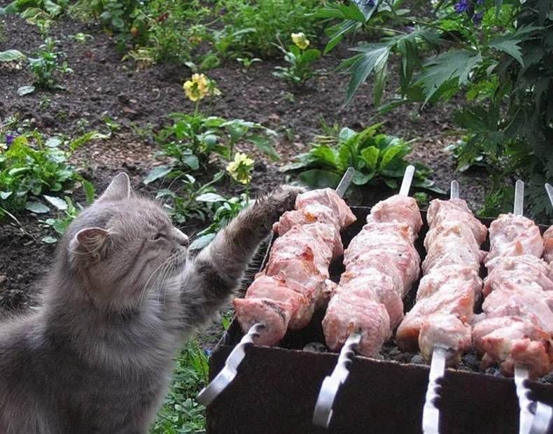 Gewoon een verzameling hilarische foto's #1123