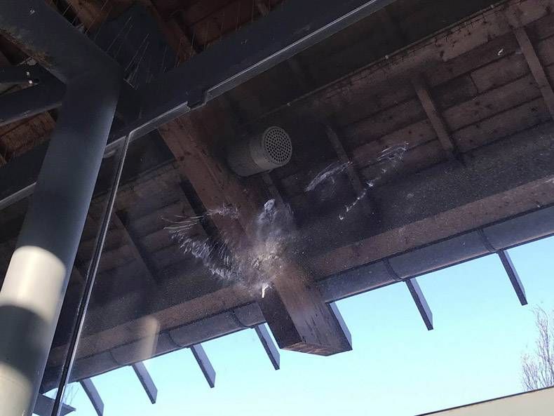 Gewoon een verzameling hilarische foto's #1120