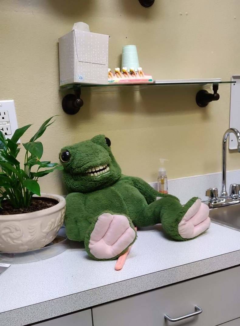 Gewoon een verzameling hilarische foto's #1089