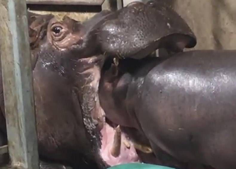 Gewoon een verzameling hilarische foto's #828