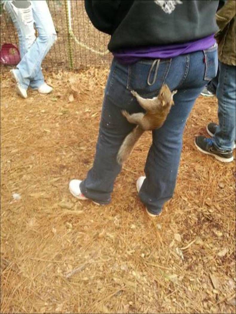 Gewoon een verzameling hilarische foto's #750