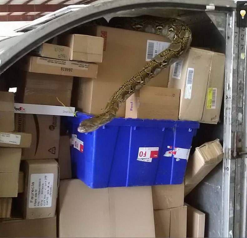 Gewoon een verzameling hilarische foto’s #1322