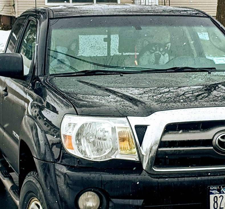 Gewoon een verzameling hilarische foto's #1252