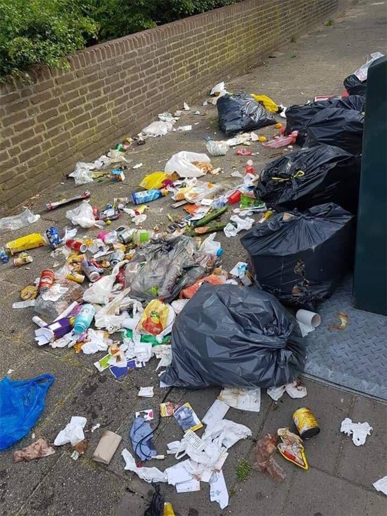 Gewoon een verzameling hilarische foto's #1142