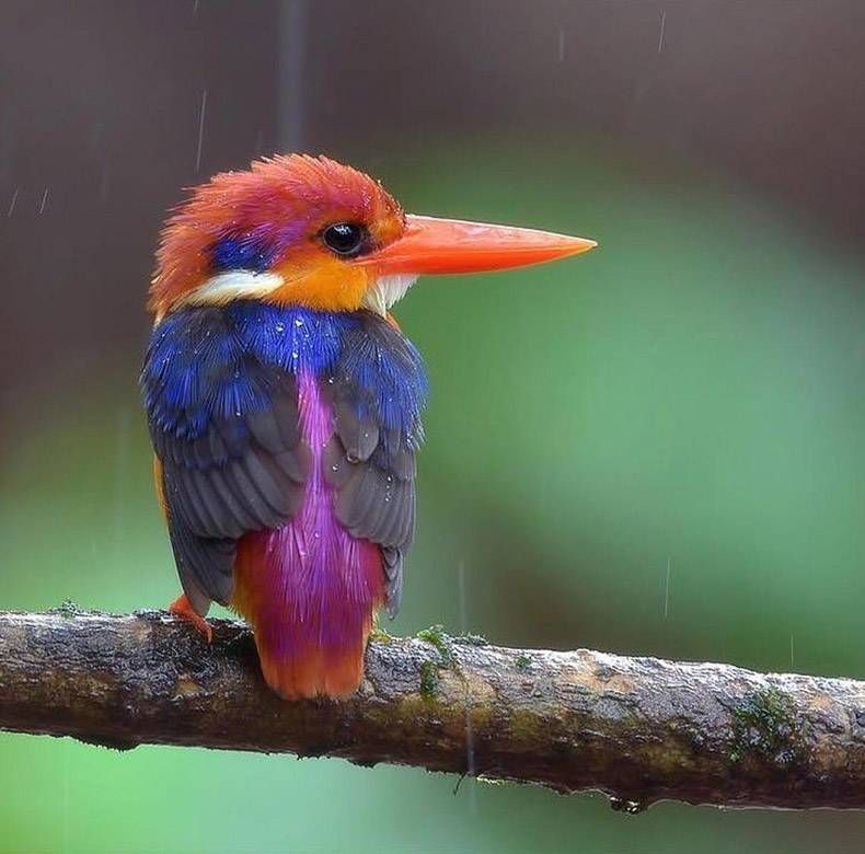 Gewoon een verzameling hilarische foto’s #921