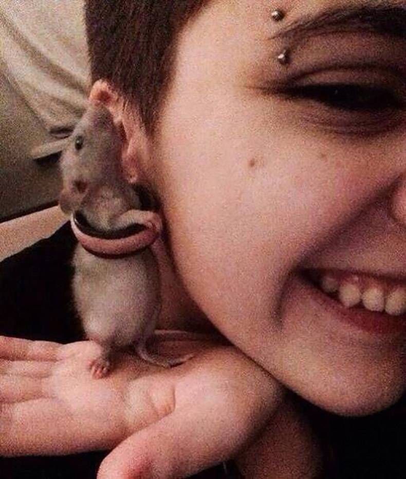 Gewoon een verzameling hilarische foto's #829