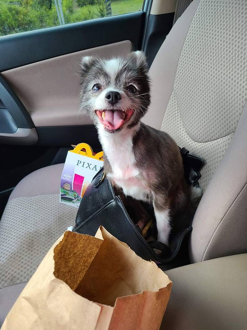 Gewoon een verzameling hilarische foto's #1321