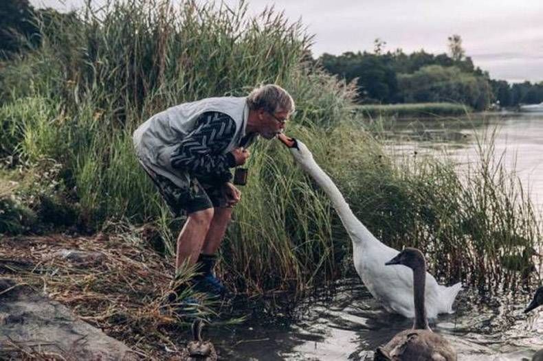 Gewoon een verzameling hilarische foto's #961