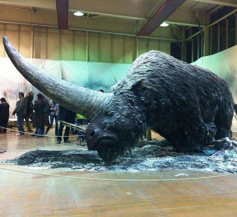 Gewoon een verzameling hilarische foto’s #921