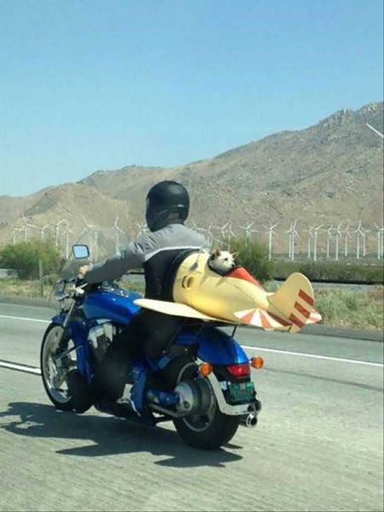 Gewoon een verzameling hilarische foto's #776