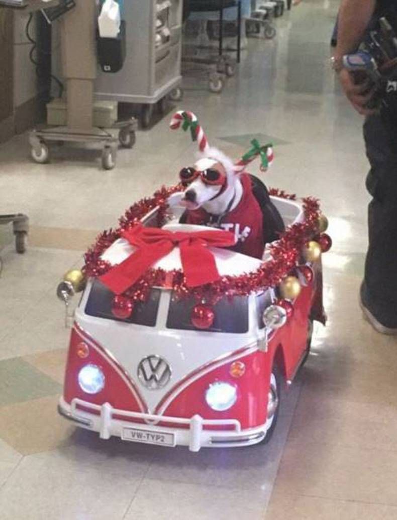 Gewoon een verzameling hilarische foto's #750