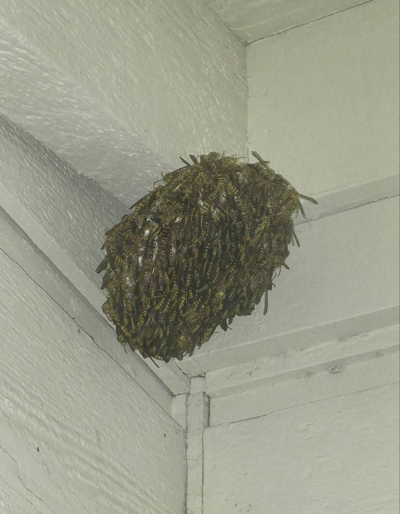 Gewoon een verzameling hilarische foto's #721