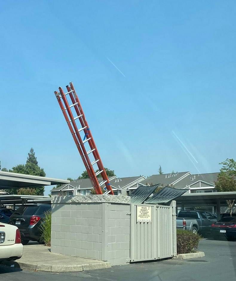 Gewoon een verzameling hilarische foto’s #1336