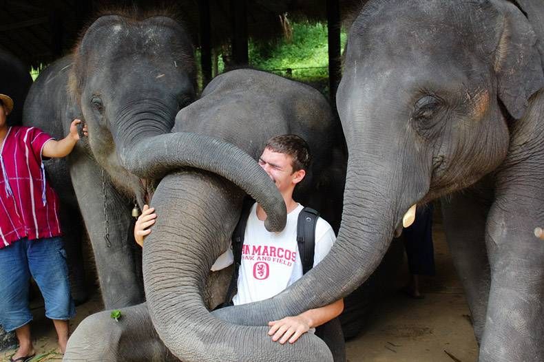 Gewoon een verzameling hilarische foto's #1321