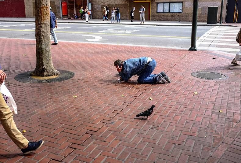 Gewoon een verzameling hilarische foto's #1194