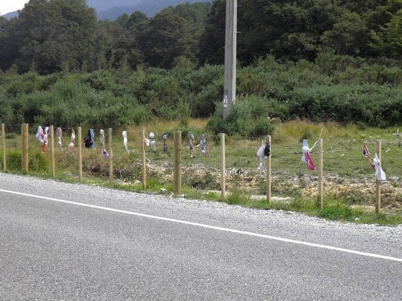 Gewoon een verzameling hilarische foto's #1127