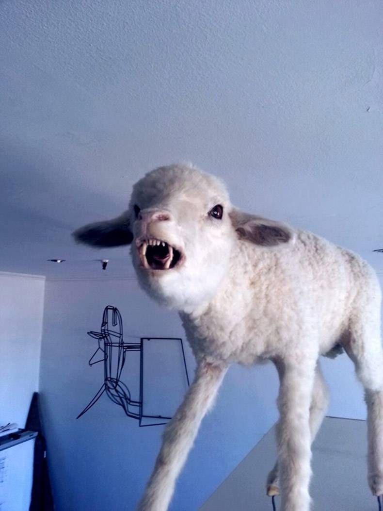 Gewoon een verzameling hilarische foto's #1088