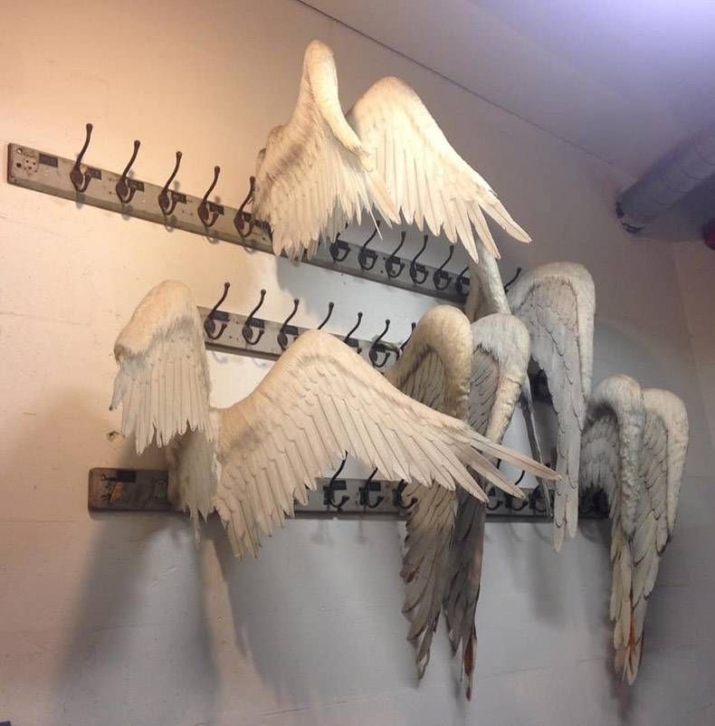 Gewoon een verzameling hilarische foto's #1077